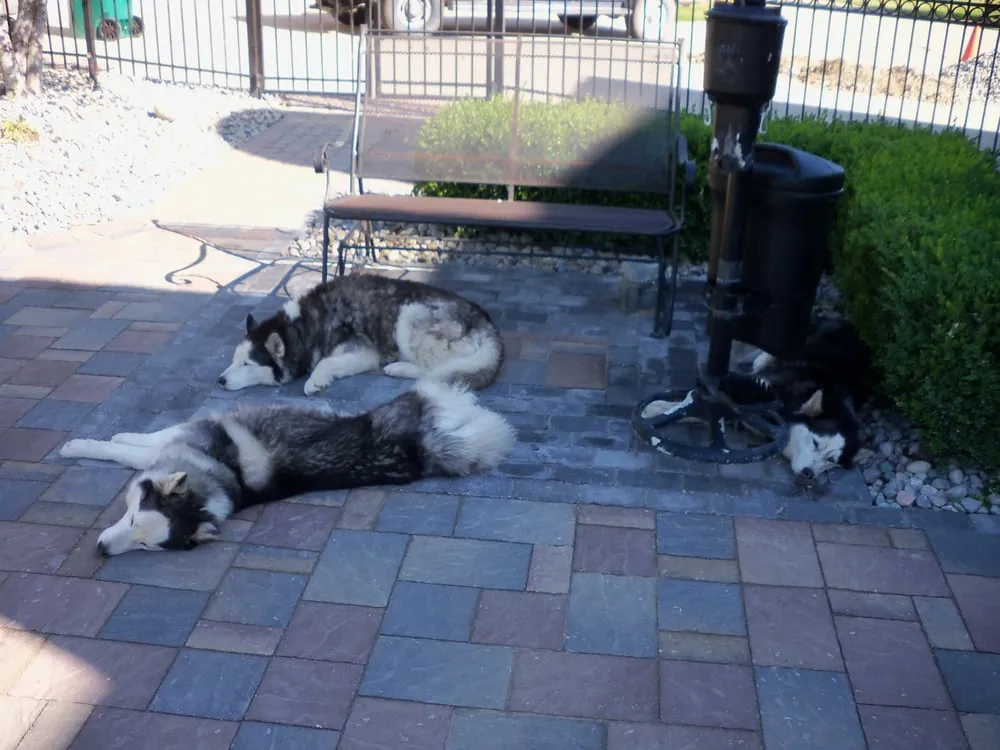 Trusted lawn care service in Macomb, MI by Rtistic Hardscapes