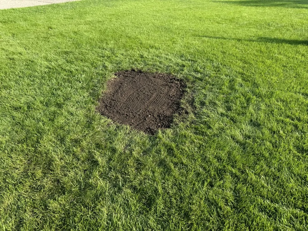 Top-rated lawn mowing service with custom design across Raymond, MN - RTK Land Management