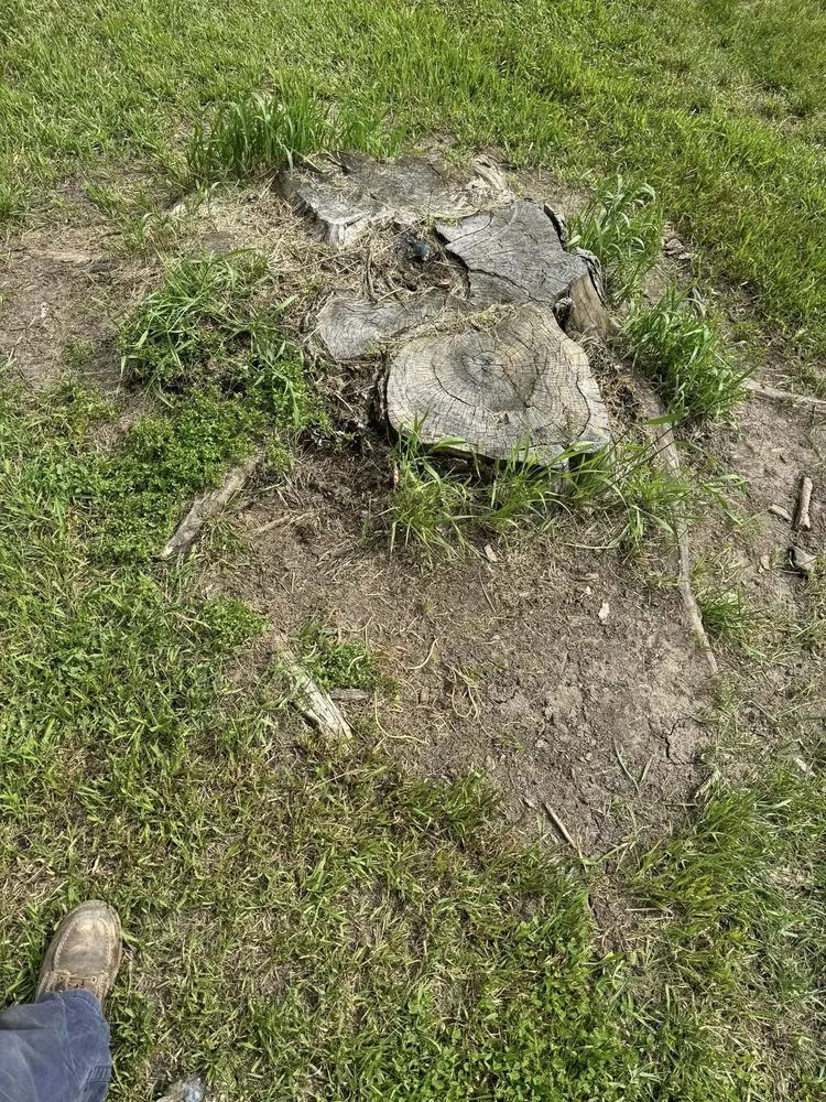 Trusted yard cleanup service in Raymond, MN by RTK Land Management