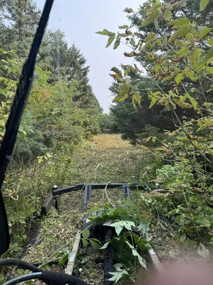 Reliable landscaping services experts serving Raymond, MN - RTK Land Management