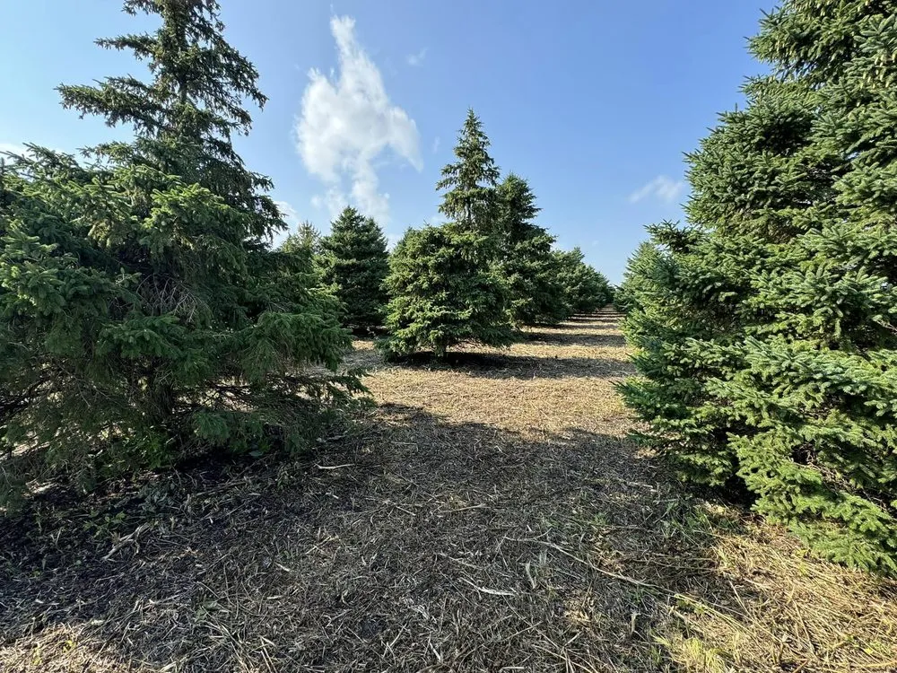 Expert landscape installation experts serving Raymond, MN - RTK Land Management
