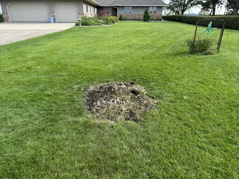 Expert lawn mowing service with custom design in Raymond, MN by RTK Land Management