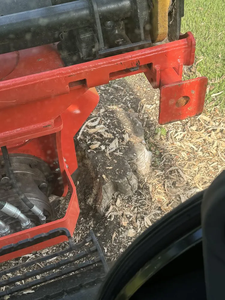 Reliable lawn mowing service for outdoor upgrades across Raymond, MN - RTK Land Management