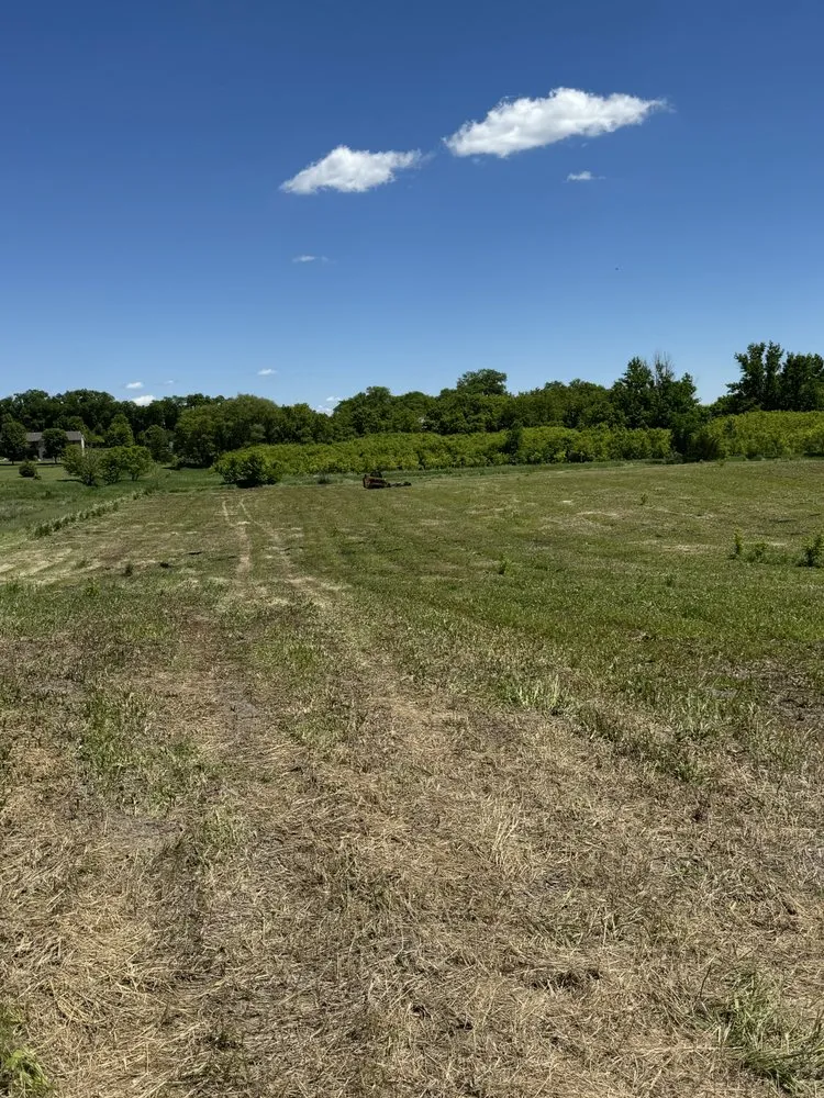 Expert landscape design experts serving Raymond, MN - RTK Land Management