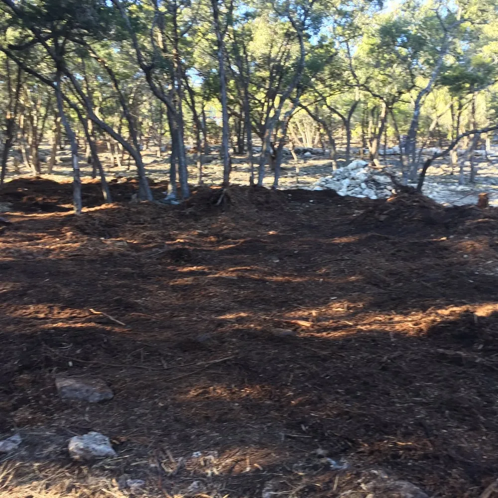 Expert residential landscaping near you in New Braunfels, TX by RTL Services