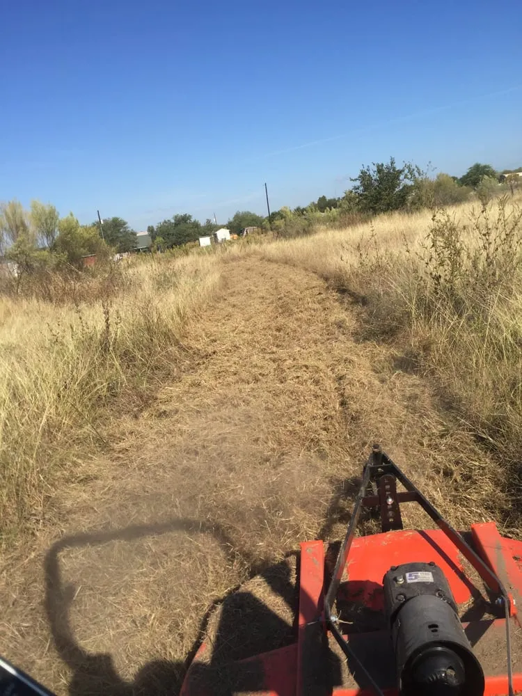 Professional yard cleanup service for beautiful yards in New Braunfels, TX by RTL Services