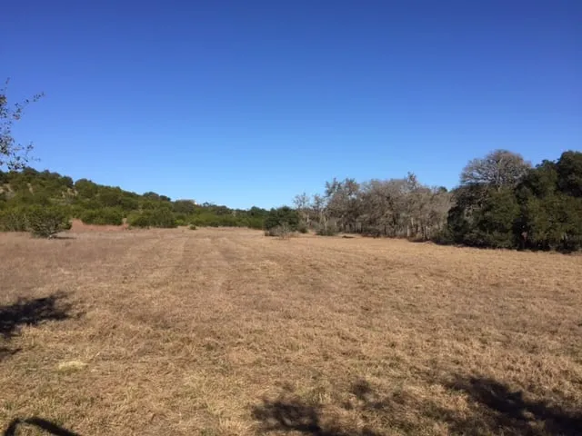 Top-rated landscaping services experts serving New Braunfels, TX - RTL Services