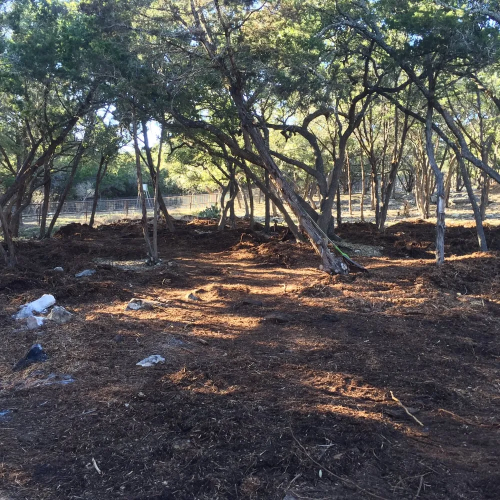 Trusted landscaping services near you in New Braunfels, TX by RTL Services