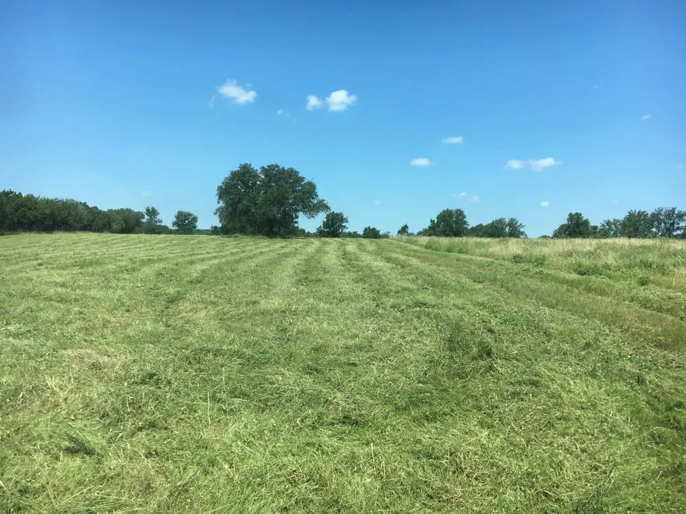 Expert lawn care service experts serving New Braunfels, TX - RTL Services