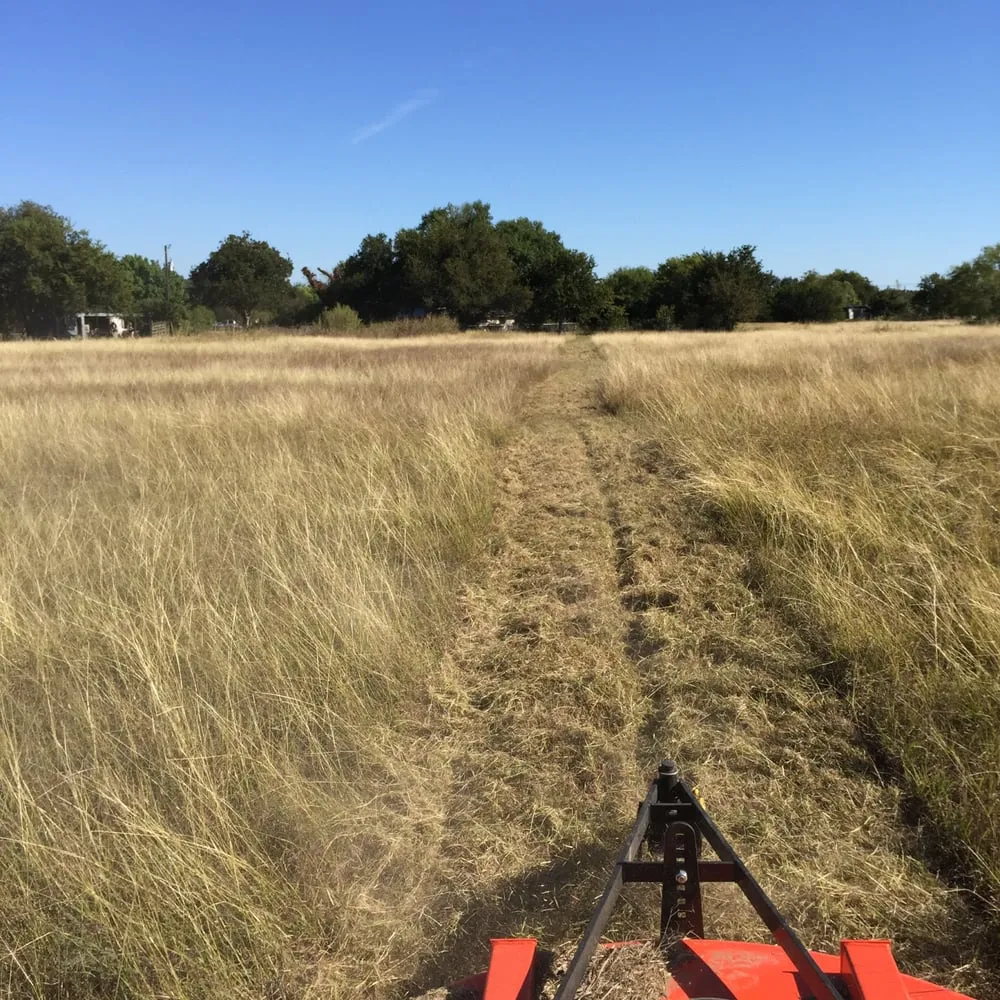 Reliable yard maintenance with custom design across New Braunfels, TX - RTL Services