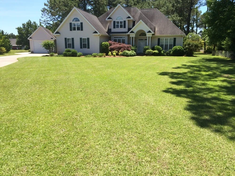 Trusted yard cleanup service in Morehead City, NC - RTR Lawn Services