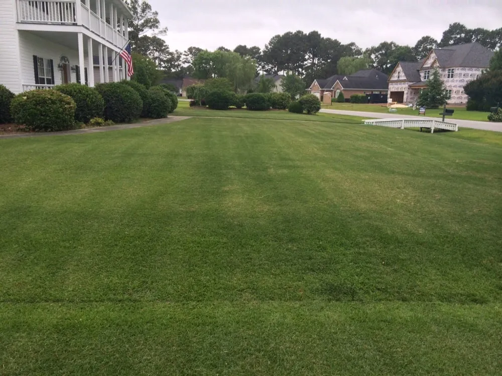 Top-rated landscaping services experts serving Morehead City, NC - RTR Lawn Services