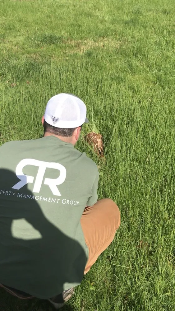 Custom yard maintenance near you in Pittsford, NY by RTR Property Management Group