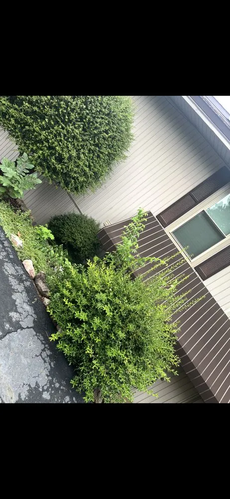Affordable landscape design for outdoor upgrades across Traskwood, AR - Rts Lawn Care Detailing & Auto Services