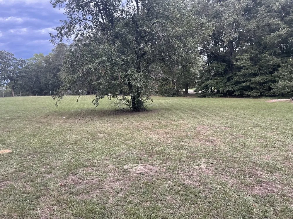 Trusted outdoor landscaping experts serving Traskwood, AR - Rts Lawn Care Detailing & Auto Services