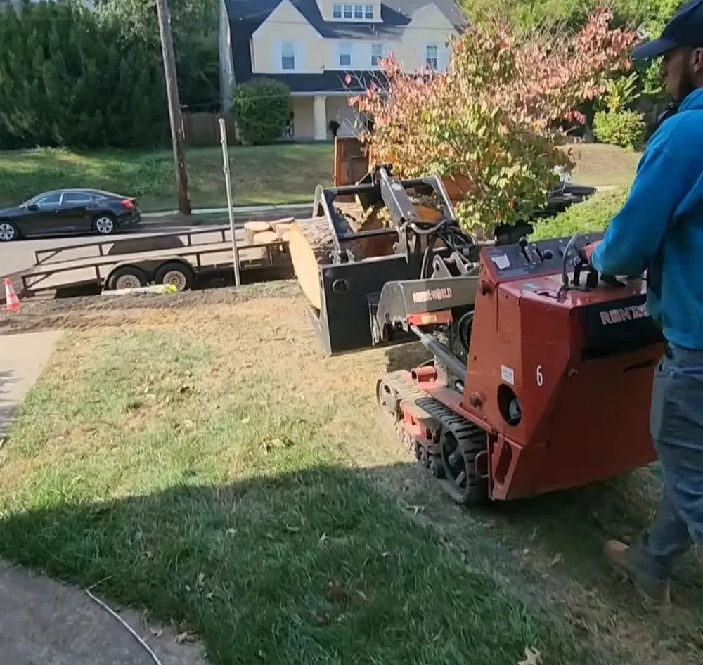 Top-rated garden landscaping experts serving Philadelphia, PA - RTS Tree Service & Landscaping