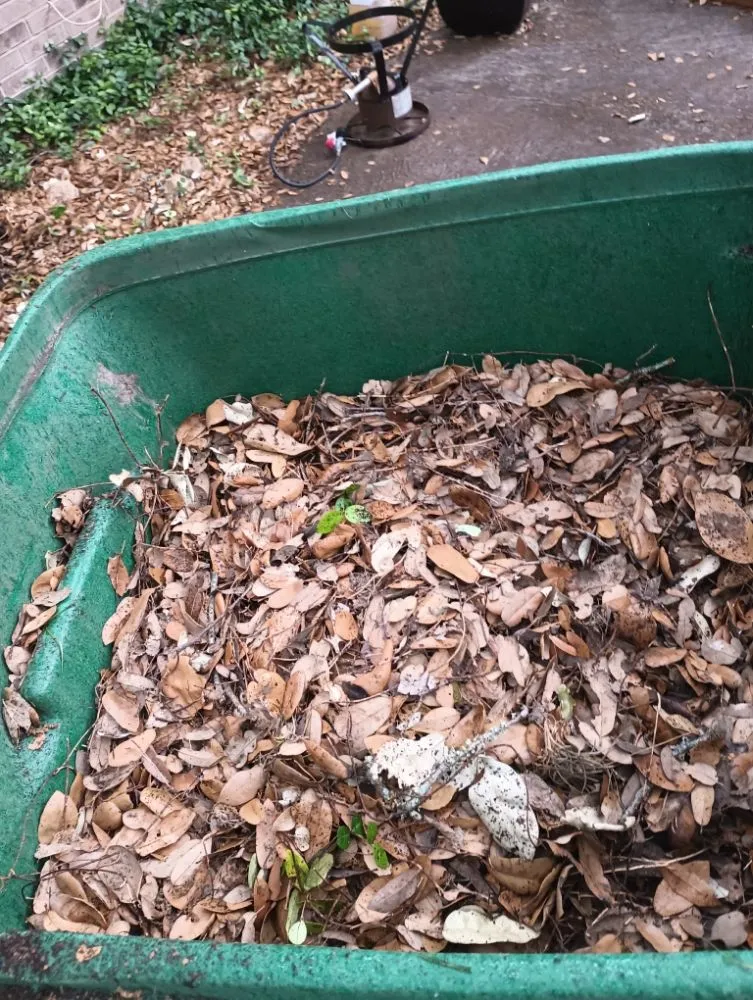 Top-rated landscape installation for homes across San Antonio, TX - RTX Lawn Care