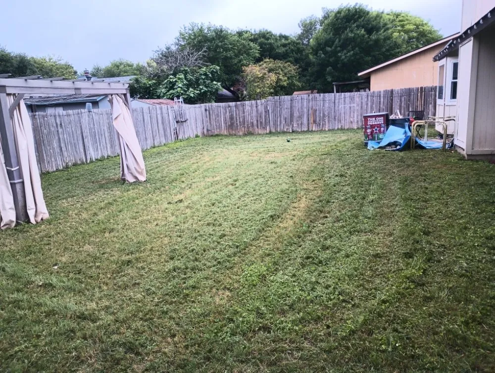 Expert yard cleanup service experts serving San Antonio, TX - RTX Lawn Care