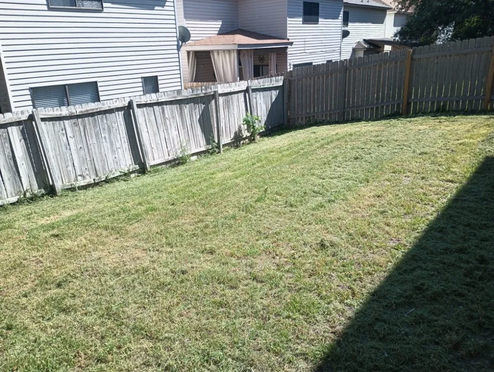 Local yard maintenance near you in San Antonio, TX by RTX Lawn Care
