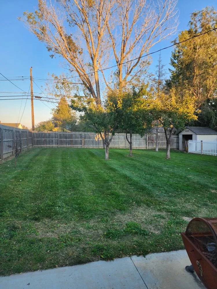 Expert lawn mowing service for residential properties in Minot, ND by Ruachos Maintenance