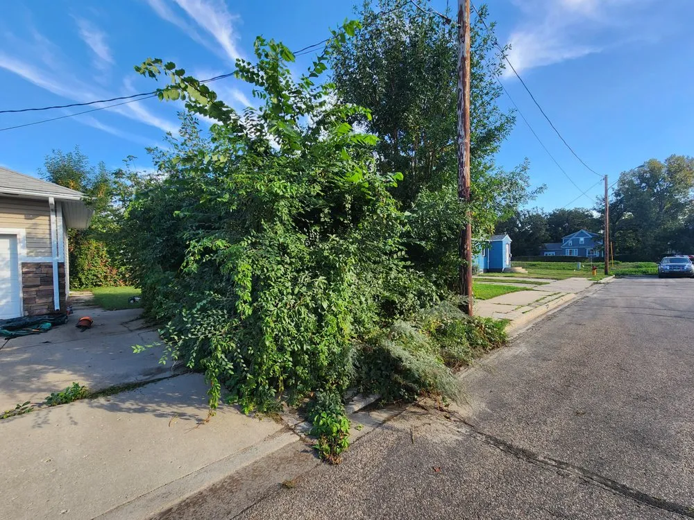 Expert lawn mowing service for year-round maintenance across Minot, ND - Ruachos Maintenance