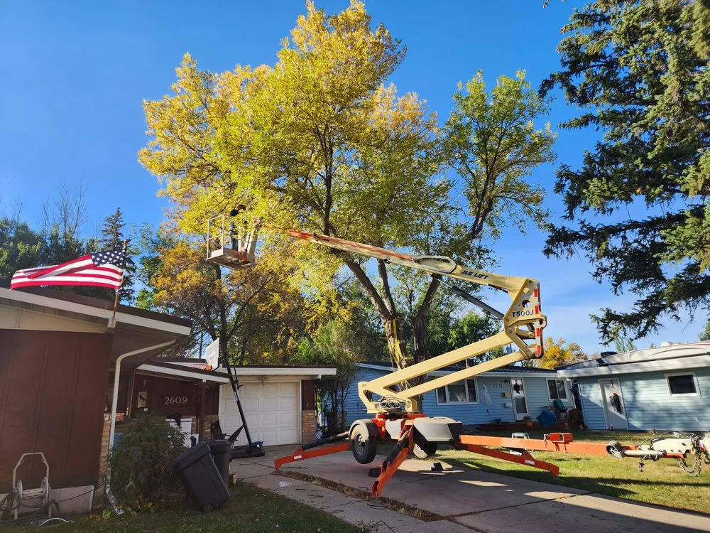 Reliable landscape installation experts serving Minot, ND - Ruachos Maintenance