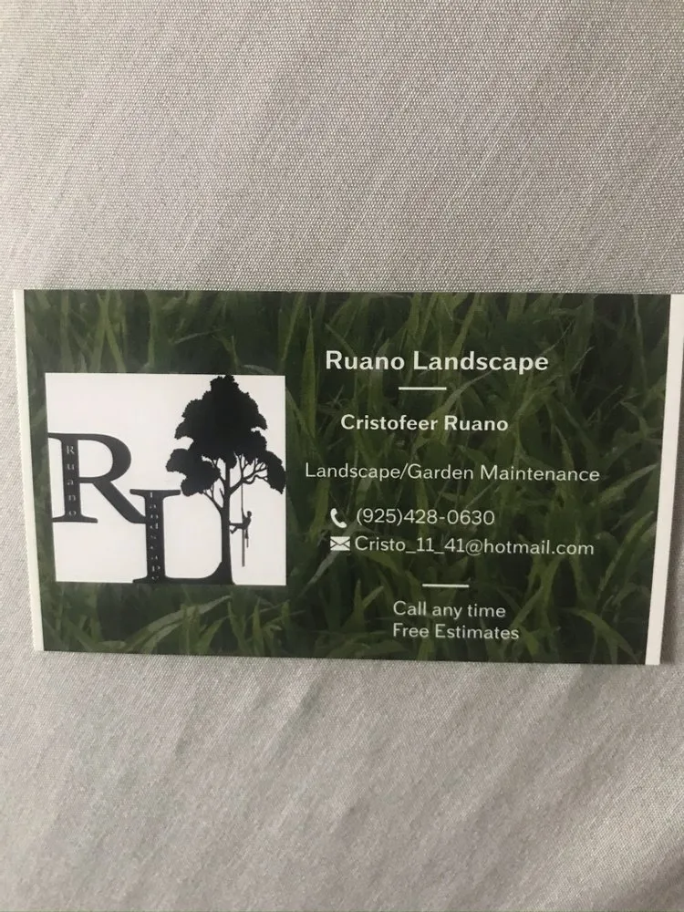 Custom yard maintenance in Pittsburg, CA - Ruano Landscape