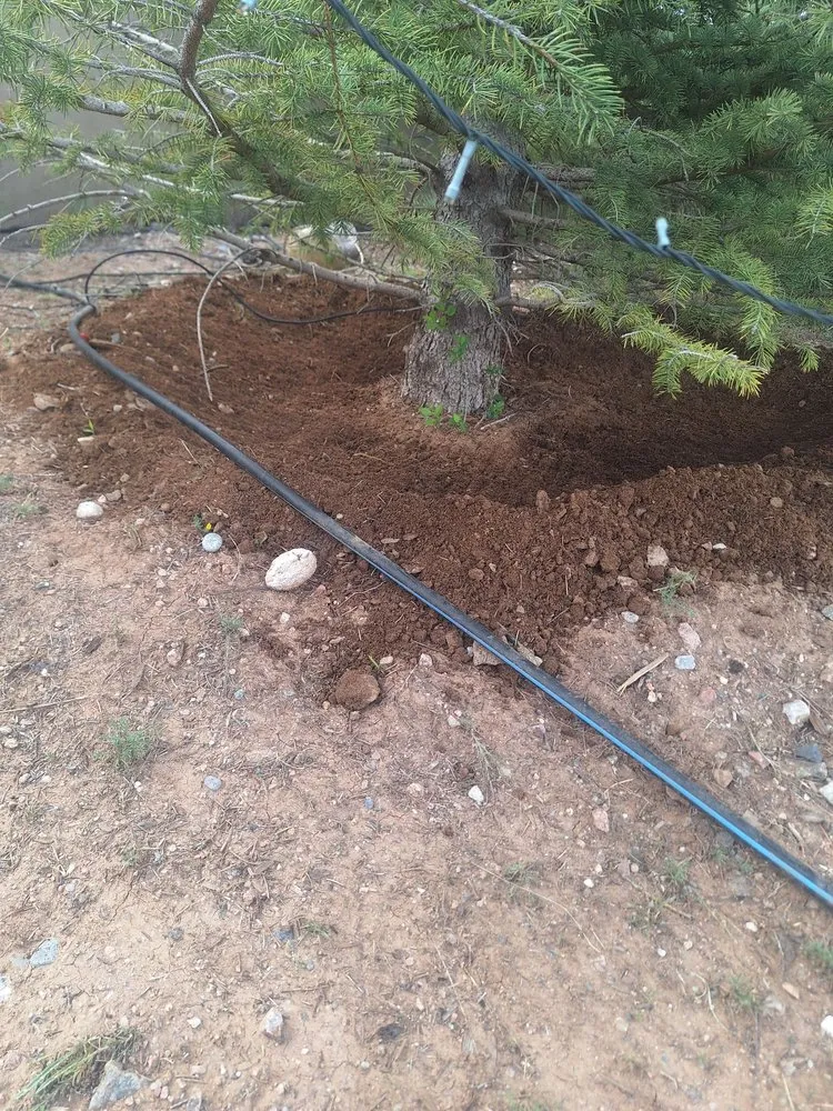 Reliable lawn care service in Santa Fe, NM by Ruano's Landscaping Services