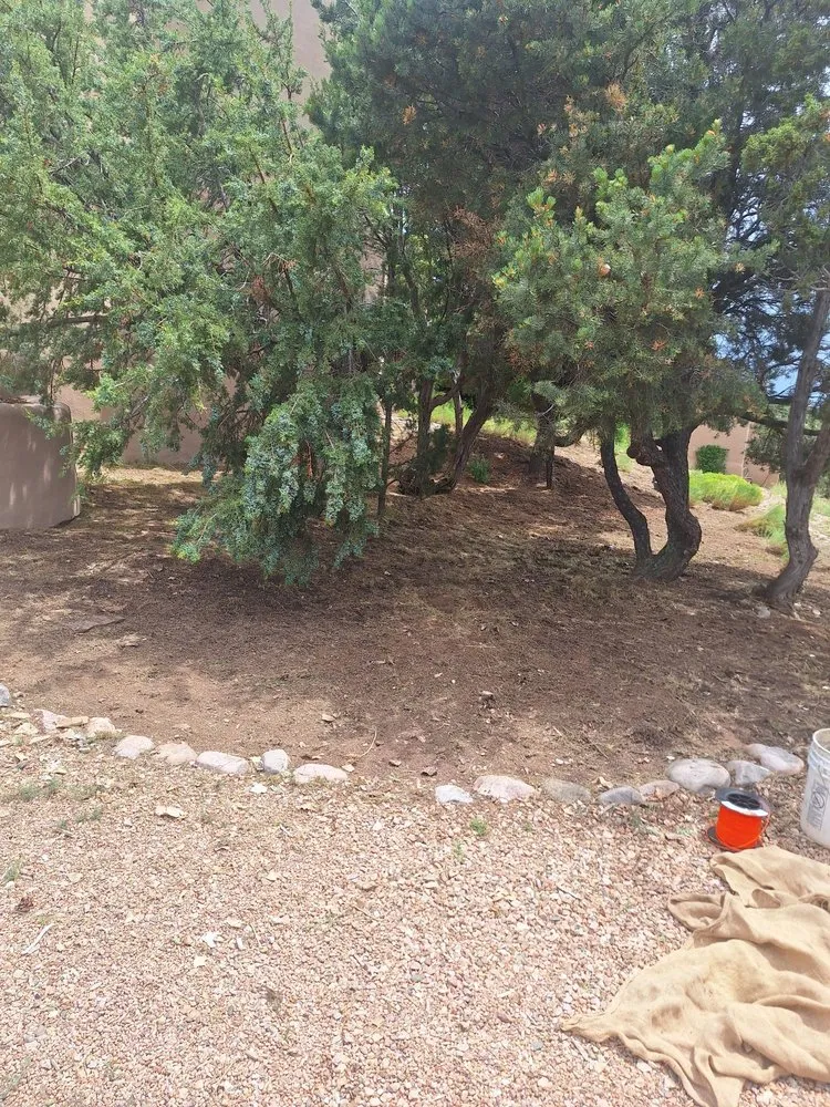 Reliable yard maintenance in Santa Fe, NM by Ruano's Landscaping Services