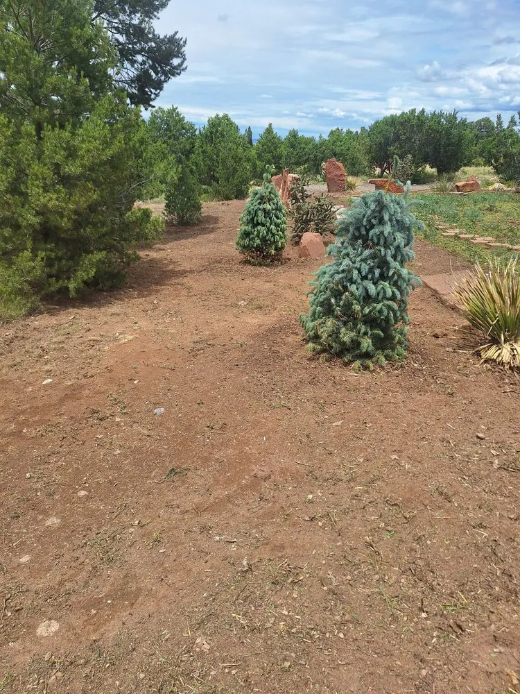 Trusted landscaping services in Santa Fe, NM - Ruano's Landscaping Services
