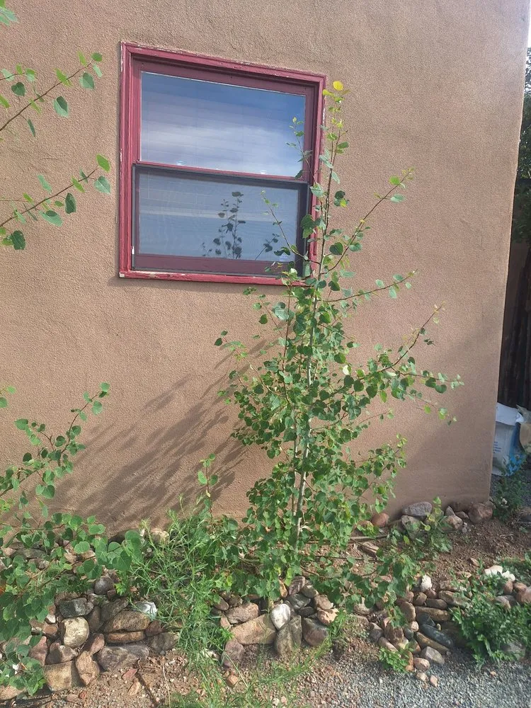 Trusted lawn mowing service in Santa Fe, NM - Ruano's Landscaping Services