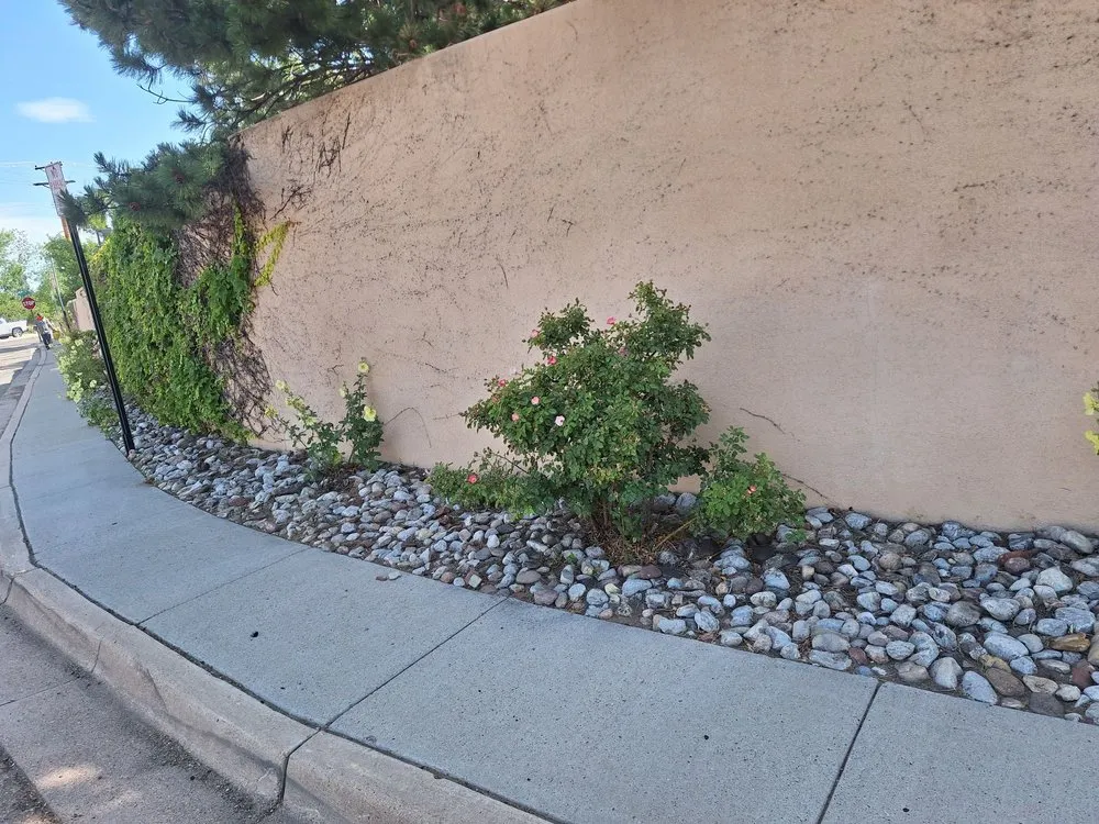 Top-rated landscaping services experts serving Santa Fe, NM - Ruano's Landscaping Services