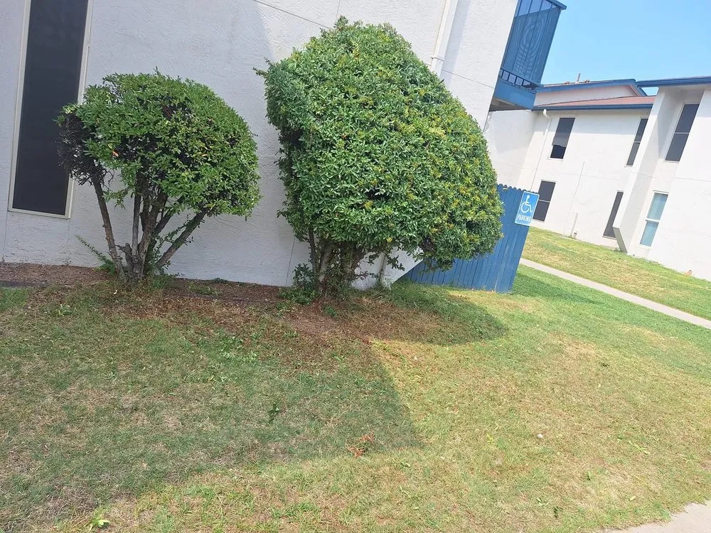 Expert lawn care service in Santa Fe, NM - Ruano's Landscaping Services