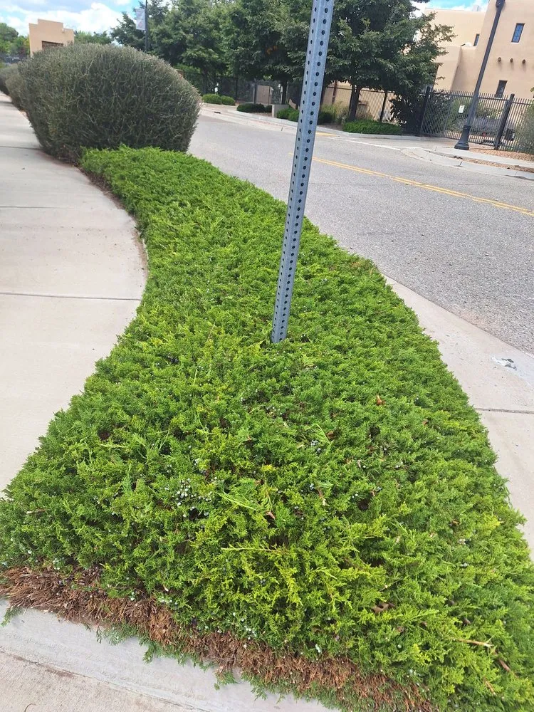 Custom yard cleanup service for homes in Santa Fe, NM by Ruano's Landscaping Services