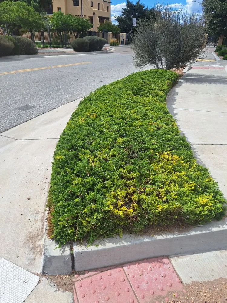 Custom yard maintenance experts serving Santa Fe, NM - Ruano's Landscaping Services