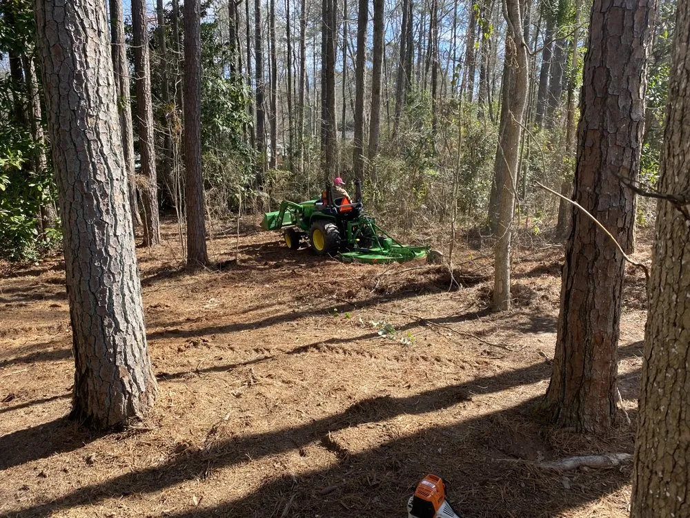 Top-rated landscape installation in Fayetteville, GA by Rubber Boots Lawn Care Service