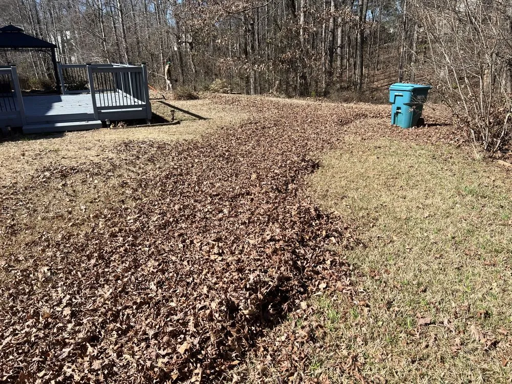 Top-rated landscaping services in Fayetteville, GA by Rubber Boots Lawn Care Service