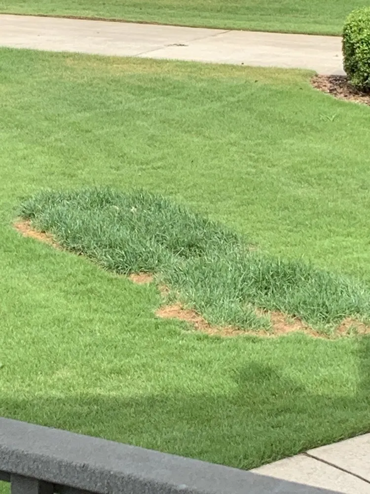 Top-rated lawn care service in Fayetteville, GA by Rubber Boots Lawn Care Service