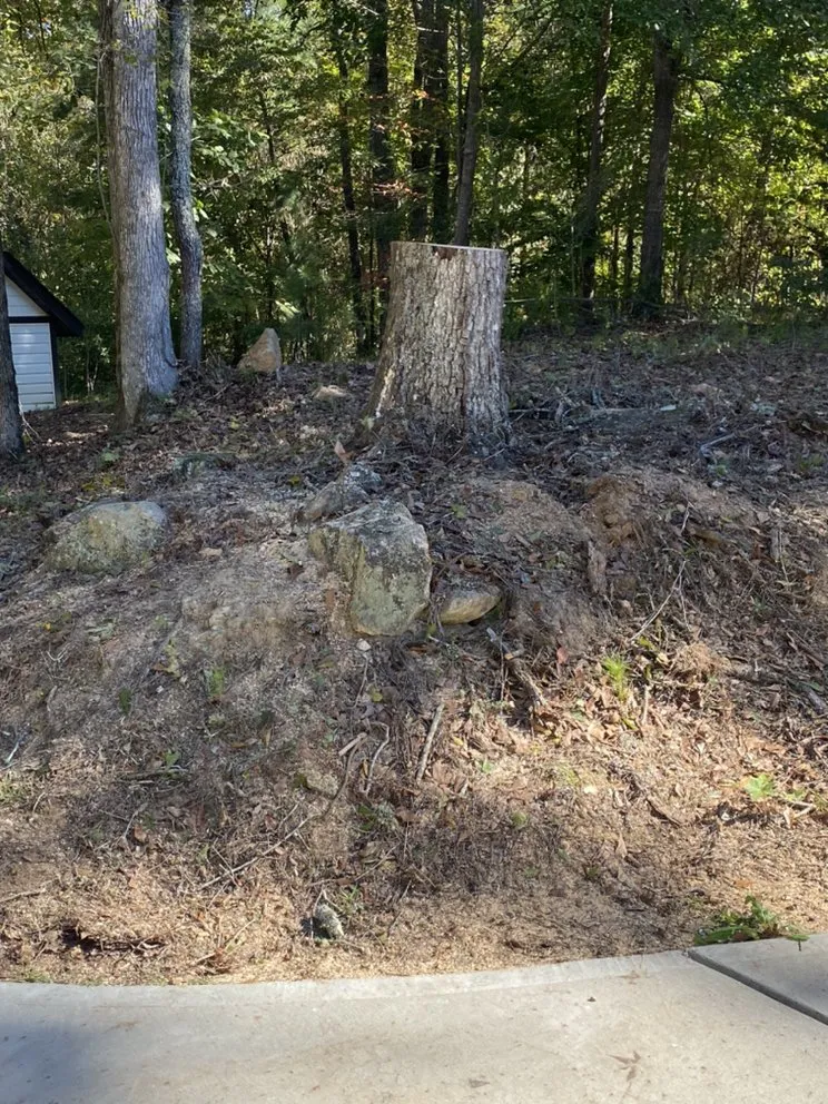 Local yard cleanup service in Fayetteville, GA - Rubber Boots Lawn Care Service