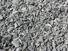 Custom yard cleanup service in Marysville, WA by Rubber Granulators