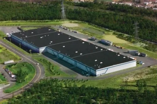 Local yard cleanup service in Lakewood, NJ by Rubber Mulch