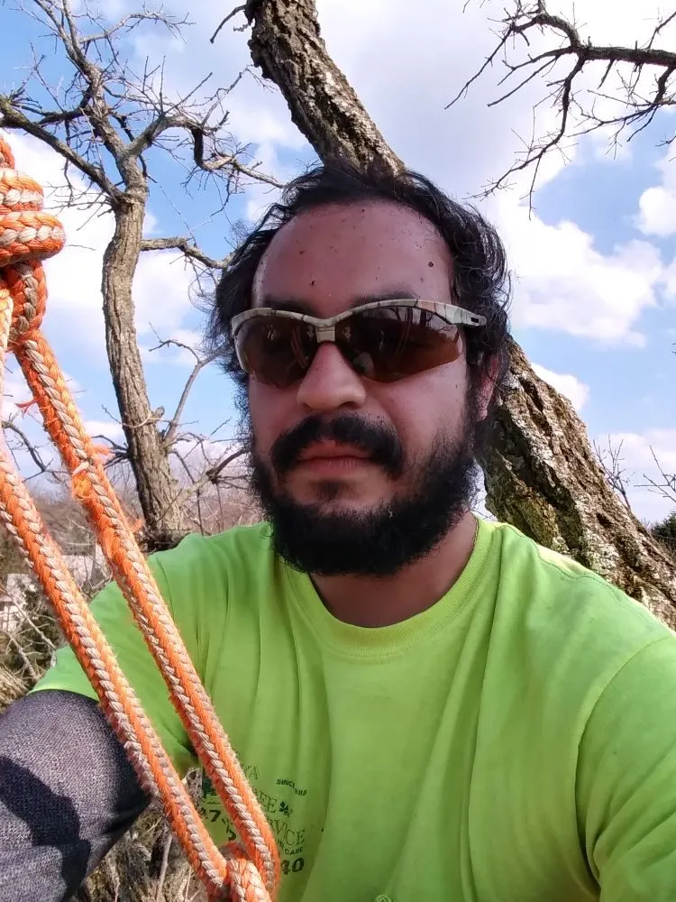 Professional outdoor landscaping in Lake Bluff, IL by Ruben & Son's Tree Care