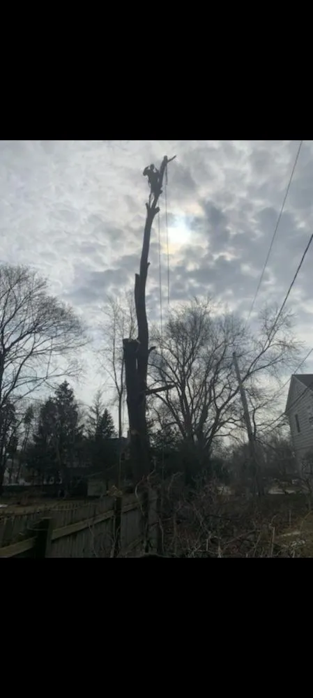 Trusted outdoor landscaping experts serving Lake Bluff, IL - Ruben & Son's Tree Care