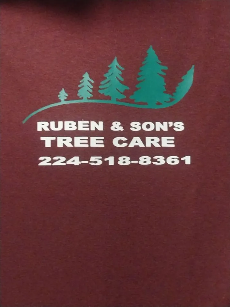 Expert yard cleanup service for homes in Lake Bluff, IL by Ruben & Son's Tree Care