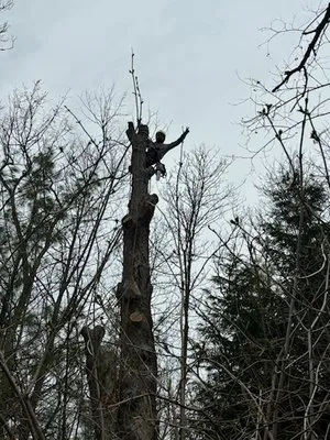 Ruben & Son's Tree Care Logo