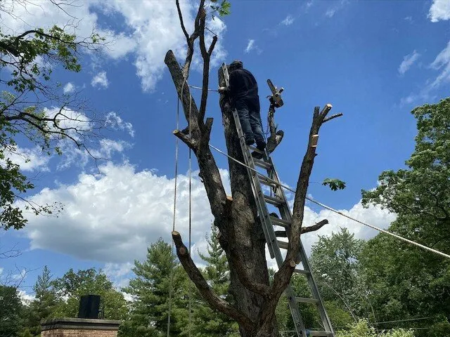 Top-rated outdoor landscaping experts serving Sycamore, IL - Ruben Armas Landscaping