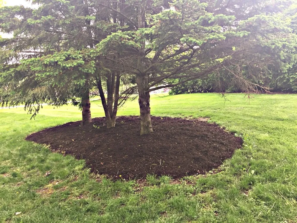 Trusted landscape installation for year-round maintenance across Sycamore, IL - Ruben Armas Landscaping