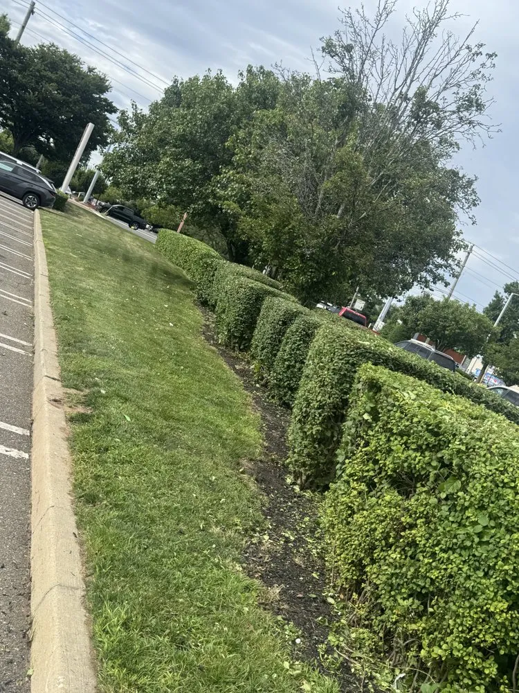 Reliable yard cleanup service for beautiful yards in Wyandanch, NY by Ruben Landscaping & Design