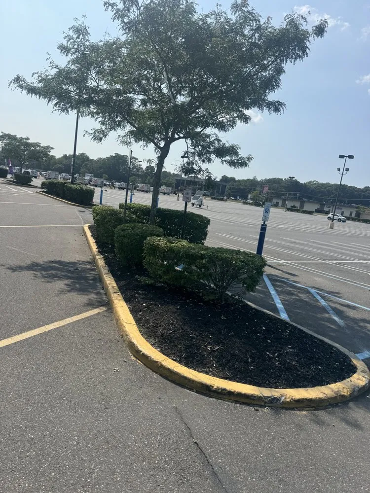 Custom lawn care service experts serving Wyandanch, NY - Ruben Landscaping & Design