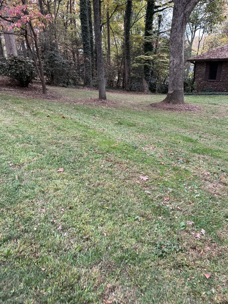 Affordable yard maintenance in Knoxville, TN by Ruben landscaping